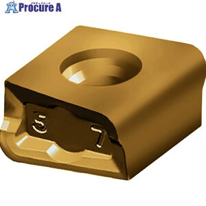 Walter �~�[�����O���H�p �Ђ��`�c�u���`�b�v WKP25S LNMU120608-F57T WKP25S 10�� ����412-8140 �y�����s�x���ρz ��O585