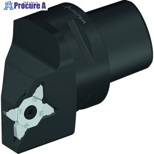 Walter �a����z���_�[ �O�a�a���H G3011-C...-P G3011-C3R-MX22-2-P 1�� ����413-0224 �y�����s�x���ρz ��O585