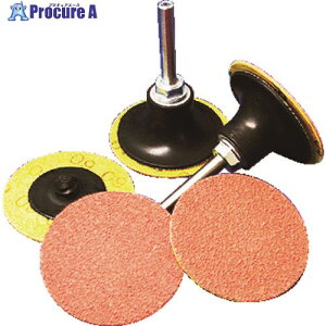 NORTON SG�u���C�YTM �Z���~�b�N�f�B�X�N �N�C�b�N�`�F���W 2QC50SGB60 25�� ��413-3960