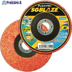 NORTON SGuCYTM fBXNuV 2SGB100DB13 5 413-4001