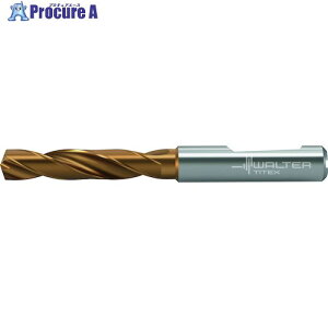 Titex N[gdldh DC160-03-17.300F1-WJ30ET 1{ 417-4490 ysxρz O585