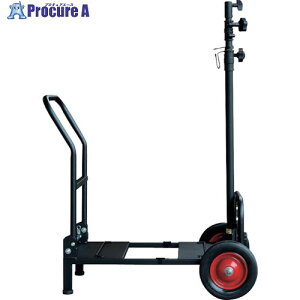KAZ P50W/210Wp^ BL-D250R 1 418-2914