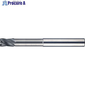 MOLDINO �G�|�b�NSUS�E�F�[�uEPSW4070-35-PN EPSW4070-35-PN 1�{ ��424-2971