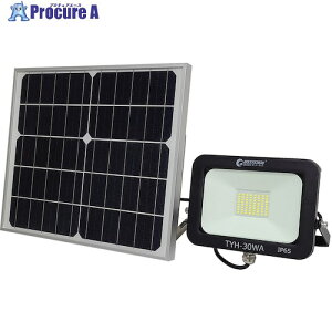 O[NX \[[LED 30W dr Cg \ TYH-30WA 6300031492 1 426-5465 lls