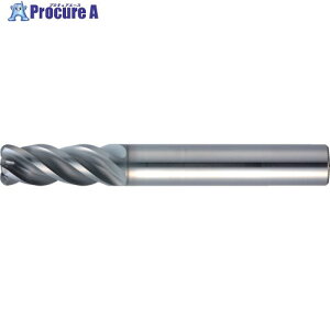 MOLDINO ���d���W�A�X�G���h�~�� �G�|�b�NSUS�}���` EPSM4090-R0.5-PN EPSM4090-R0.5-PN 1�{ ��429-1026