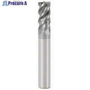 �Z�R JABRO Solid2 �G���h�~�� 554200R250Z4.3-SIRON-A 1�� ��430-5853