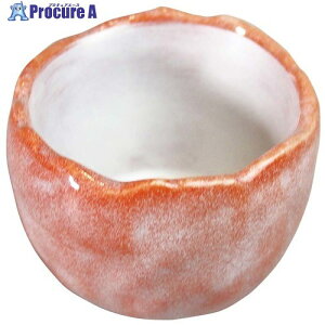 EBM AZH Ԋyʏۏt EC20-23 1133110 1 449-5204 ysxρz