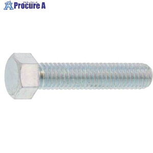 SUNCO �h�u �Z�p�{���g(�S�l�W 5/16X100 (10�{��) B0-00-0002-8025-1000-12-10P 1�p�b�N ����453-8492 �y�����s�x���ρz