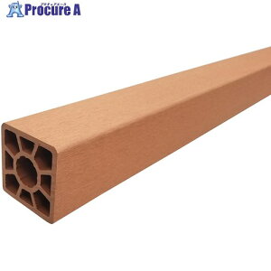 TZt EbhfbL90mm x |Xg2{Zbg CguEF 2-TS BROWN*2 1S 455-2716 ysxρzԏn