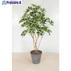 O[NX lH/lHϗtA VFt 6300033759 1 456-8610 lls