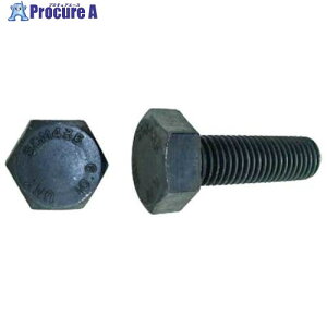 SUNCO 10.9 �Z�p�{���g �S�l�W 1/2×40 (1�{��) B0-00-0452-8040-0400-00-1P 1�� ����459-5527 �y�����s�x���ρz