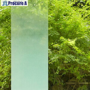 �O���[���N���X �t�@�T�� �O���f�[�V���� SH2FGSB �T�u���i 1270mmX30m 6300034590 1�{ ����465-8241 ���l��l����s��