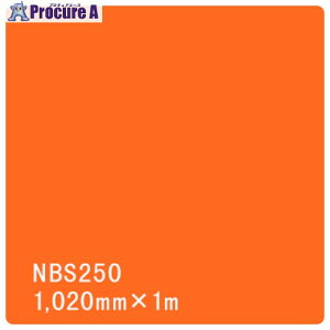 O[NX ^bNyCg NBSV[Y NBS250 1020mmXؔ 6300034223 1M 466-3058 lls