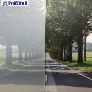 �O���[���N���X �t�@�T�� �t���X�g/�}�b�g SH2EMCH �V�����j�[ 1270mmX30m 6300034327 1�{ ����467-7082 ���l��l����s��