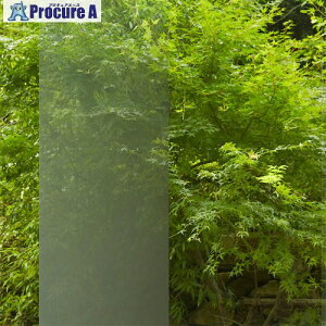 �O���[���N���X �t�@�T�� �O���f�[�V���� SH2SIIM �C���~�i ���t���N�g 1270mmX30m 6300034598 1�{ ����468-0268 ���l��l����s��