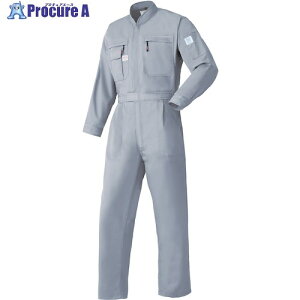 AUTO-BI AW(H~)f Ȃ-007O[(G1)-B5LTCY 5750-007-B5L 1 478-5829 ysxρz