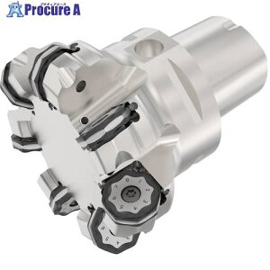 ZR tCX _uINg~ R217.48[09 Jb^[ C6-R217.48-080-09-07SA 1 489-7213 ysxρz
