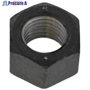 SUNCO A194-G4(低温用) 10割ナット1種 M27(1本入り) M0-P1-0450-0270-0000-00-1P 1パック ■▼490-1318 【送料都度見積】