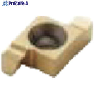 �Z�R ����p �a����p�C���T�[�g CP30 14EAR4.0FA CP30 2�� ����509-2586 �y�����s�x���ρz