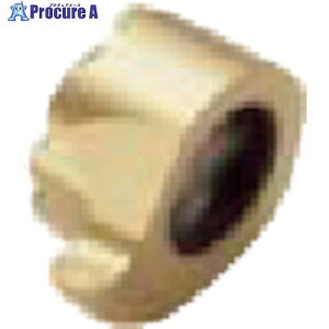 ZR p apCT[g CP500 LCEX080409-0180R-R CP500 2 509-5813 ysxρz