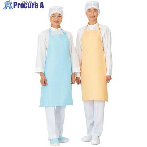 EBM hN^[A[XGv |^Cv E3500-1 A[Xu[ 2107210 1 510-3336 ysxρz