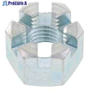 SUNCO 溝付きナット(高形(1種 M10 (10本入り) N0-00-0C00-0100-0000-00-10P 1パック ■▼515-4032 【送料都度見積】