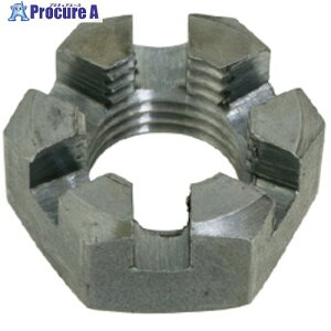 SUNCO ユニクロ 溝付きナット(低形(1種 細目 M24ホソメ2.0 (1本入り) N0-00-0C14-0240-0000-01-1P 1パック ■▼516-0279 【送料都度見積】