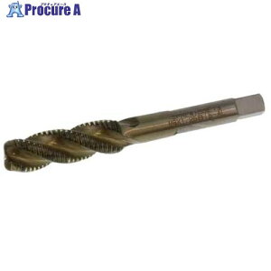 SUNCO �X�v�����[ �X�p�C�����^�b�v M2.5×0.45 (1�{����) N0-00-TSS0-0025-0000-00-1P 1�p�b�N ����517-1880 �y�����s�x���ρz