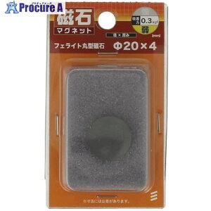 YAHATA tFCgی^ pC20×4 4979874071507 1 521-6360 ysxρz