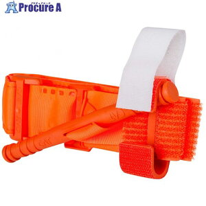 O[NX NAR^[jPbgEMS IW 6300037589 1 531-0394 lls