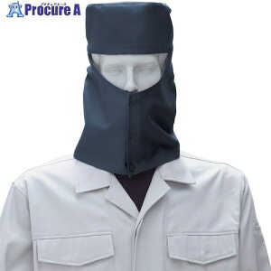 Ka 10013 nږXq coȂ Ȃ lCr[ L 10013-1-L 1 531-3886 ysxρz