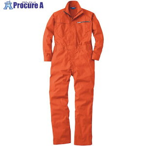 Ka 39010 Ȃ IW LL 39010-74-LL 1 531-5483 ysxρz