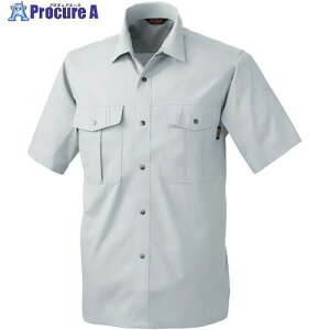 �K�a 537 �����V���c �V���o�[�O���[ 3L 537-22-3L 1�� ����531-7154 �y�����s�x���ρz