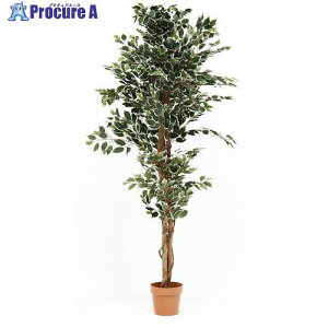 sf ϗtA tBJX 1124 B 52664 1 541-1578 ysxρz