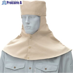 Ka 10017 nږXq coȂ ꂠ x[W LL 10017-3-LL 1 543-5965 ysxρz