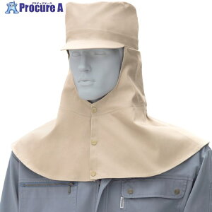 Ka 10016 nږXq co ꂠ x[W L 10016-3-L 1 544-2195 ysxρz