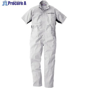 Ka 39017 Ȃ Vo[O[ 4L 39017-22-4L 1 544-5399 ysxρz