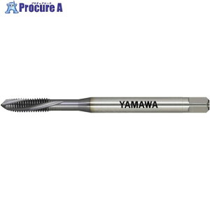 } Z-PRO dxYf|pʂ茊pXpC^bv MHSL P3 M4X0.7 MHSL-P3-M4X0.7 1{ 555-2045 MA515