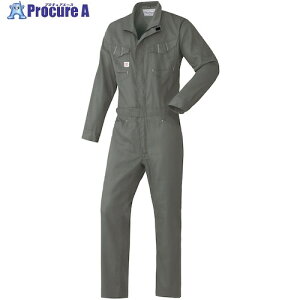 AUTO-BI SS(t)f Ȃ23010-007O[-5lTCY 23010-007-5L 1 562-2641 ysxρz