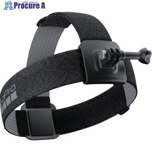 GoPro wbhXgbv2.0 ACHOM-002 1 564-1808