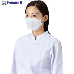 oA[u ̌^T[WJ}XNzCg 40 NO.2875W 24 567-2235