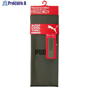 ~^j N[^I PUMAX[p[N[^I(J[L) 31x90cm 191516 1 574-5078 ysxρz