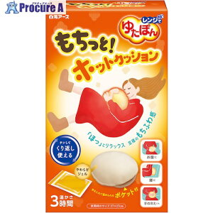  Wł䂽ۂ ƃzbgNbV 33066-0 10 597-0076 ysxρz