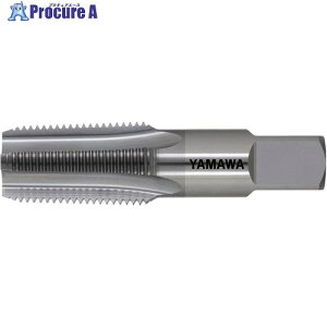 ���}�� �Ǘp�e�[�p�˂��p���S�p���d�n���h�^�b�v���˂��` CT-PT 1/16-28 CT-PT-1/16-28 1�{ ��608-6228 ��MA515