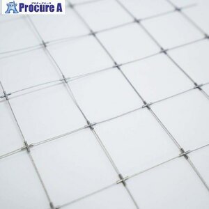 �O���[���N���X �X�e�����X���C���[�l�b�g 2mx19m 6300049090 1�� ����619-9079 ���l��l����s��
