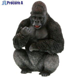 O[NX IuWFG QB-017 S[ 6300051655 1 633-6458 lls