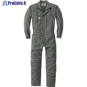 AUTO-BI ʔNf Ȃ23011-007-O[-5LTCY 23011-007-5L 1 650-1994 ysxρz