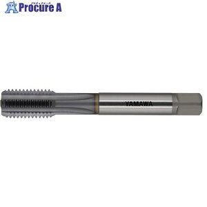 ���}�� Z-PRO �����p�X�g���[�g�^�b�v �N�[���z�[�� CAST CH P3 M8X1.25 1.5P CAST-CH-P3-M8X1.25-1.5P 1�{ ����661-6286 �y�����s�x���ρz ��MA515