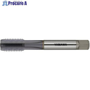 } Z-PRO pXg[g^bv N[z[ CAST CH P4 M10X1.5 3P CAST-CH-P4-M10X1.5-3P 1{ 661-6303 ysxρz MA515
