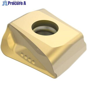 �Z�R �t���C�X �X�N�G�AT4�C���T�[�g LOEX1207�EM09 MP3000 LOEX120716R-T4-M09 MP3000 10�� ����681-8831 �y�����s�x���ρz